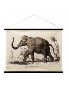 Toile decoration éléphant