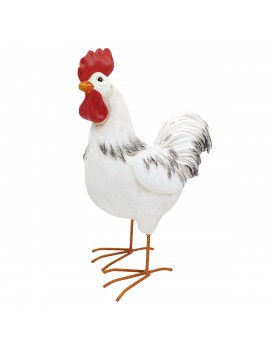 Coq