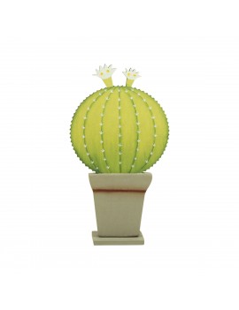 *cactus