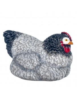 Poule