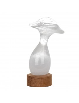 Baromètre STORM GLASS...