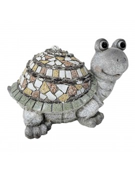 Tortue ext.