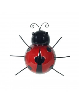 Coccinelle