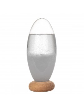 Baromètre STORM GLASS...