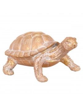 Tortue