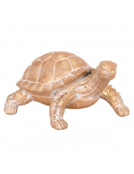 Tortue