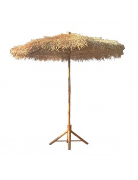Parasol