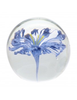 Presse Papier Sulfure Boule...