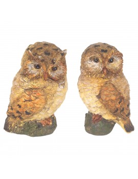 Hibou 2 diff.