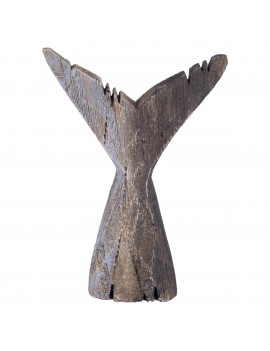 Petite queue de baleine