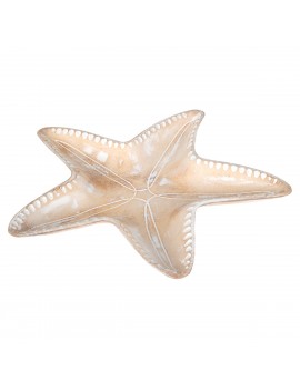 Plateau à étoile de mer