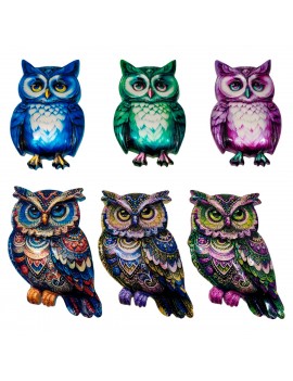 Magnétique hibou 6 diff.