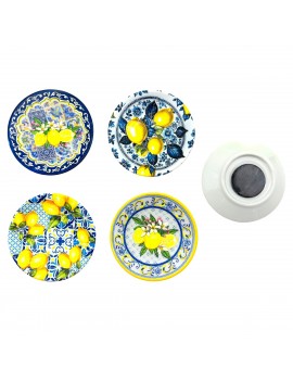 Citrons magnétique 4 diff.