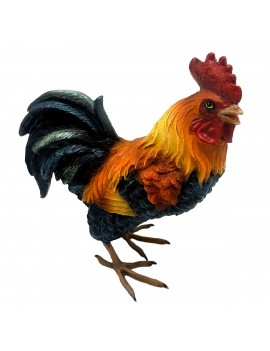 Coq
