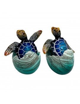 Tortue de Mer sortant de...