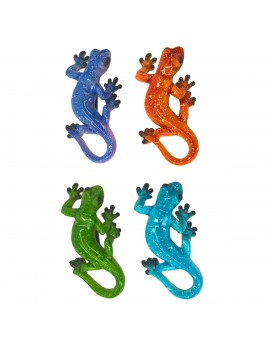 S/8 tortues av/plateau