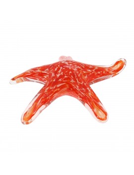 Presse-papier etoile de mer