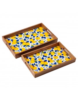 Lot de 2 plateaux citrons