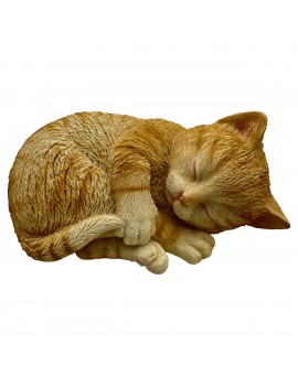 CHAT roux tigré couché...