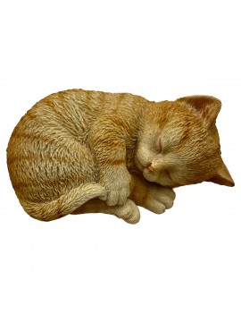 CHAT tigré roux couché...