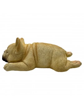 CHIEN Bouledogue couché...